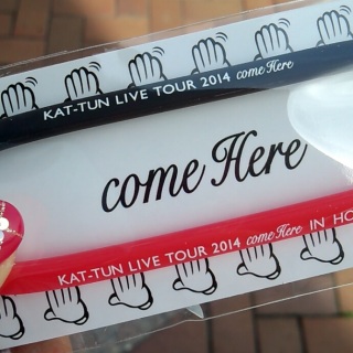 �k�C���u���X��